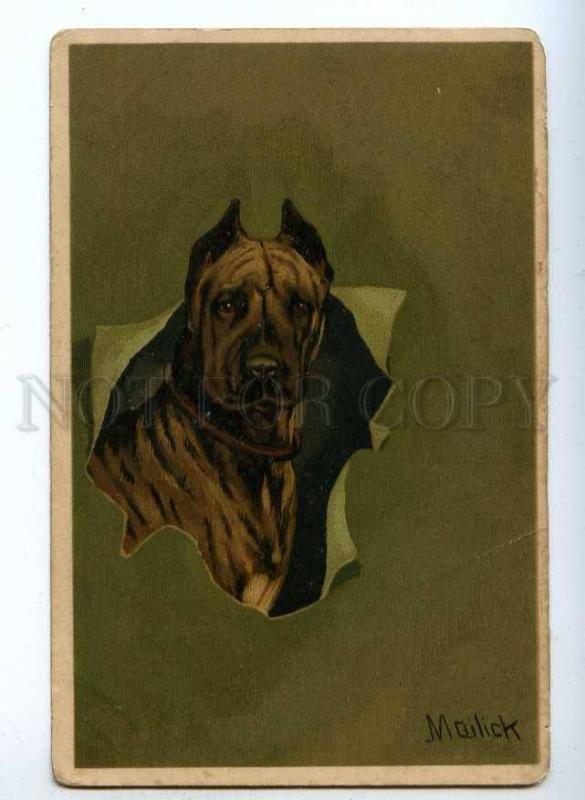 189439 GREAT DANE Portrait by MAILICK Vintage LITHO postcard