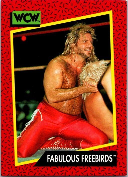 1991 WCW Wrestling Card Fabulous Freebirds sk21184