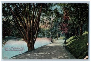 1910 Lake In Washington Park West Of Bridge Albany New York NY Antique Postcard