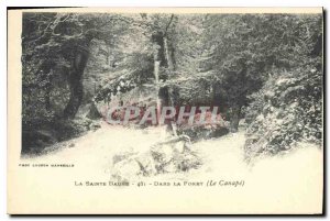 Old Postcard La Sainte Baume In the Forest (The Sofa)