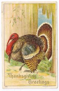 1908 Embossed Thanksgiving Postcard Julius Bien 9005 Tom Turkey Escaping Vintage