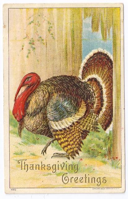 1908 Embossed Thanksgiving Postcard Julius Bien 9005 Tom Turkey Escaping Vintage