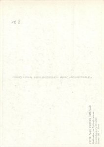 Erotic nude painting Postcard Peter Paul Rubens