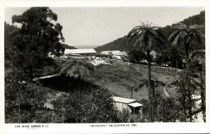 australia, VIC, HEALESVILLE, Bethany, Rose Series RPPC Postcard