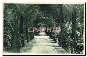 Old Postcard Chatelaillon Casino Park and Allee of Sighs