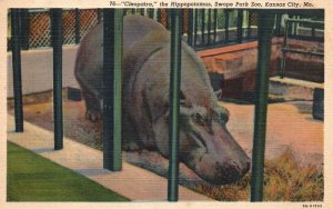 Vintage Postcard 1946 Cleopatra Swope Park America's Best Zoo Kansas City MO