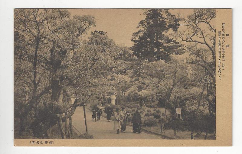 Vintage Japan Photo Postcard - Unknown Park