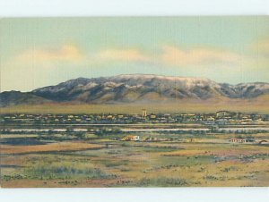 Linen NATURE SCENE Albuquerque New Mexico NM AD4428@