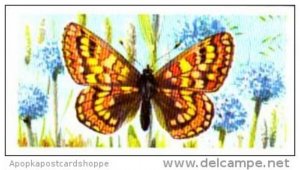 Brooke Bond Tea British Butterflies No 16 Marsh Fritillary