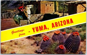 VINTAGE POSTCARD HORSE RIDING AND CACTUS FLOWER NEAR YUMA ARIZONA c. 1960s