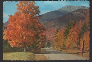 New York Whiteface Mt. in the Adirondacks - Autumn along Jay Road ~ Cont'l