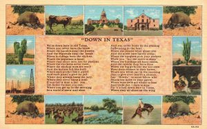 Vintage Postcard Down in Texas Wild Animals Cactus Desert Plants Garden Building