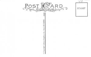 Butterfly View Postcard Backing 