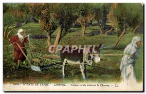 Algeria Old Postcard Scenes and Types Plowing Arab Woman pulling the cart (as...