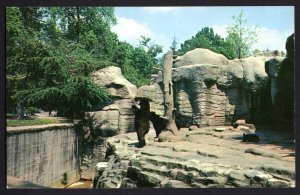 Tennessee MEMPHIS Bear Pits at the Memphis Zoo in Overton Park Chrome