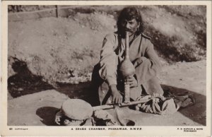 PC PAKISTAN, SNAKE CHARMER, PESHAWAR, Vintage REAL PHOTO Postcard (b43402)