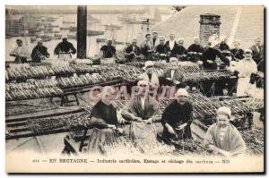 Old Postcard Folklore sardine industry heading and drying sardines