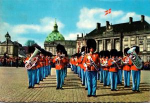 Denmark Copenhagen The Royal Guard At Amalienborg Castle