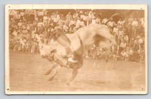 RPPC  1936  Bull Rider  Jim Duffield  Ardmore  Oklahoma   Postcard