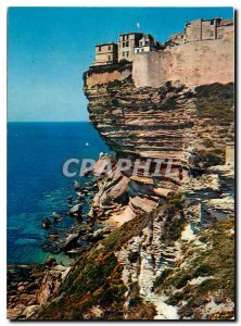 Old Postcard Bonifacio Corsica Oasis Beauty