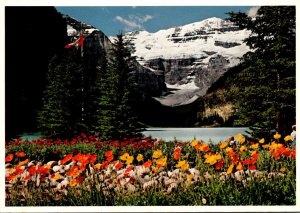 Canada Alberta Lake Louise With Poppies In Bloom 1984