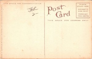 Library Park Long Beach California CA Antique Postcard UNP Unused DB 