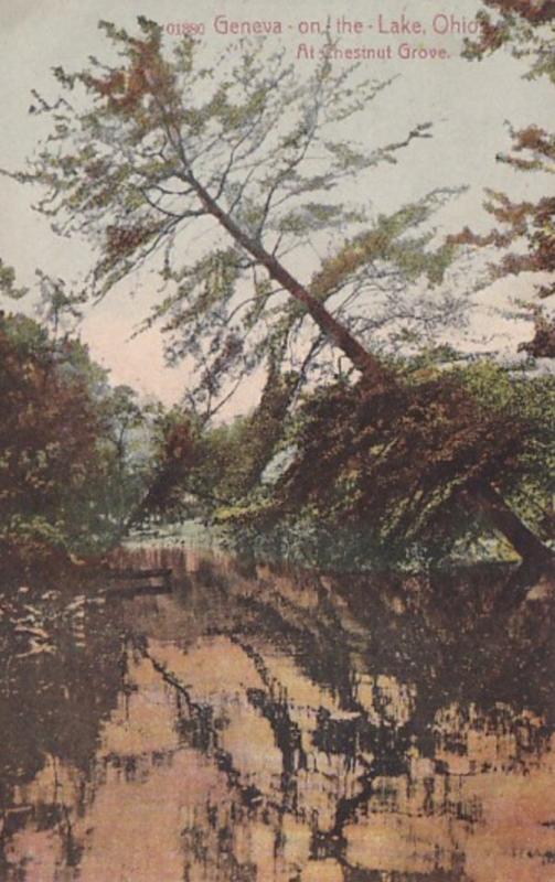 Ohio Geneva-On-The-Lake Scene At Chestnut Grove 1908