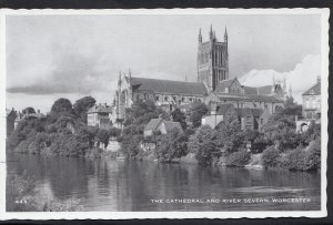 Worcestershire Postcard - The Cathedral and River Severn, Worcester   DR569