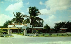 Vintage Tropical Acres Dania Chicken Lounge, FL. Postcard F74