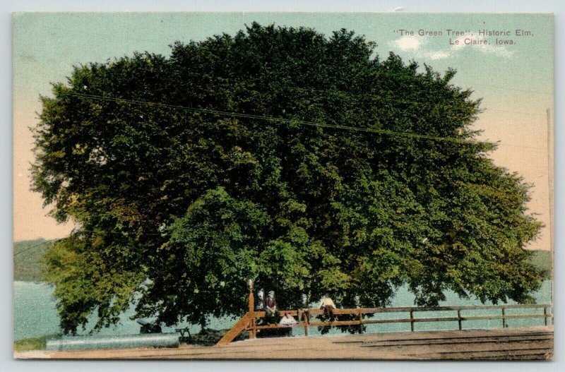 Le Claire Iowa~The Green Tree Historic Elm~Kids on Wood Rail Fence~Bridge~1907