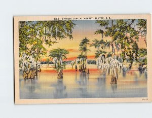 Postcard Cypress Lake At Sunset Sumter South Carolina USA