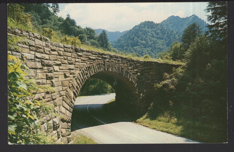 TN Great Smoky Mountains National Park The Loop Over On U S Highway 441 ~ Chrome