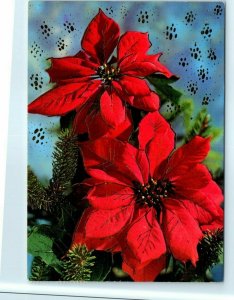 Postcard - Poinsettias - Merry Christmas and a Happy New Year, Happy Holidays! 