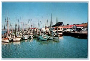 View Of Fishing Boats On Dock Shoreline Bodega Bay California Vintage Postcard