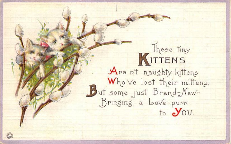 Cat Cats, Kitten Artist Arthur Thiele Writing on back 