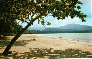 US    PC1654  LUQUILLO BEACH, PUERTO RICO