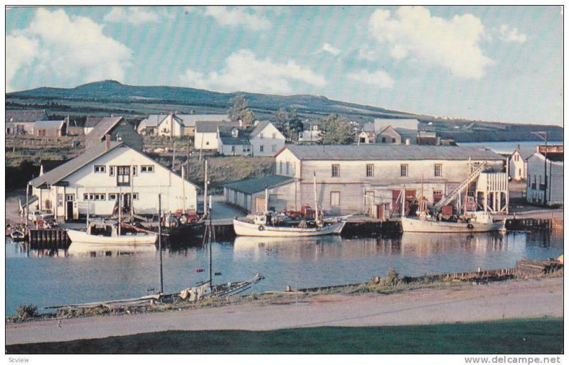 Anse A Beaufils, Fishing Boats Unloading Their Catch At Eventide, La Gaspesie...