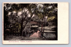 SULPHUR SPRINGS TAMPA FLORIDA POSTCARD (c. 1906 ^^^)