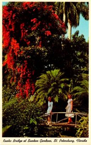 Florida St Petersburg Rustic Bridge At Sunken Gardens