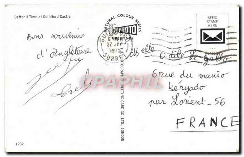 Modern Postcard Daffodil Time At Guildford Castle