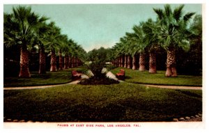 California Los Angeles  Palms at East Side Park