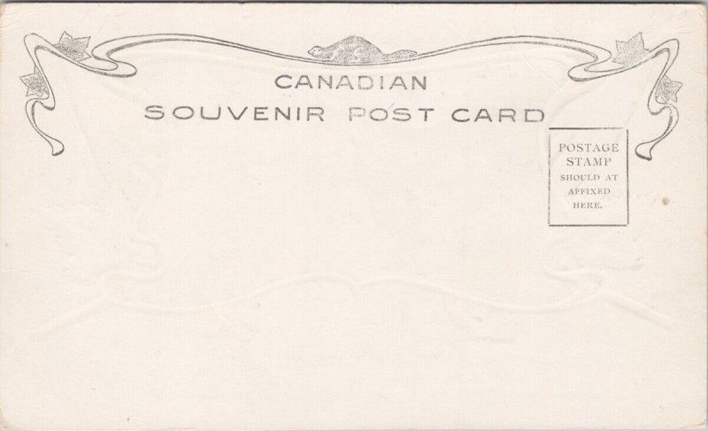 Dundas Street Napanee Ontario Canada Patriotic Unused Souvenir Postcard H29