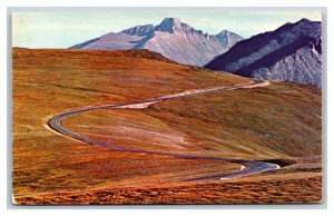 Trail Ridge Road Rocky Mountain National Park Colorado UNP Chrome Postcard E19