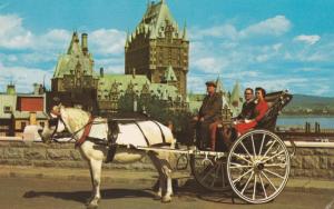 Caleche Ride - Horse - Quebec QC, Quebec, Canada