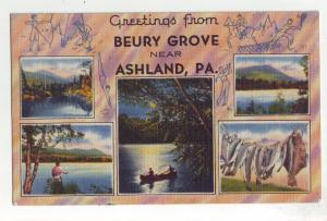 P913 1949 multiview fishing etc views beury grove near ashland penn