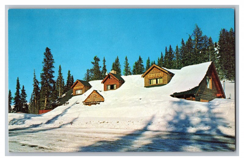 Postcard CO Monarch Crest Monarch Pass Colorado Snow Vintage Standard View Card 