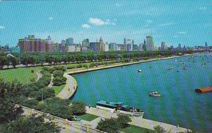 Illinois Chicago Skyline Looking Across Grant Park