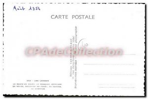 Postcard Old Landes Route En Foret The Courant