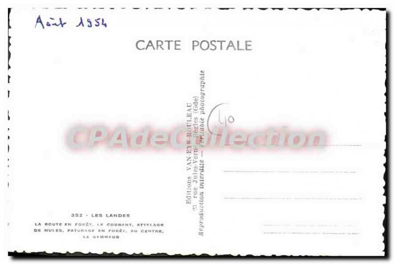 Postcard Old Landes Route En Foret The Courant