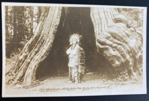 Mint Usa RPPC Postcard Native Americana Indian Chief White Hawk